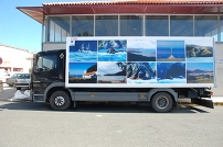 Promotion et developpement universel